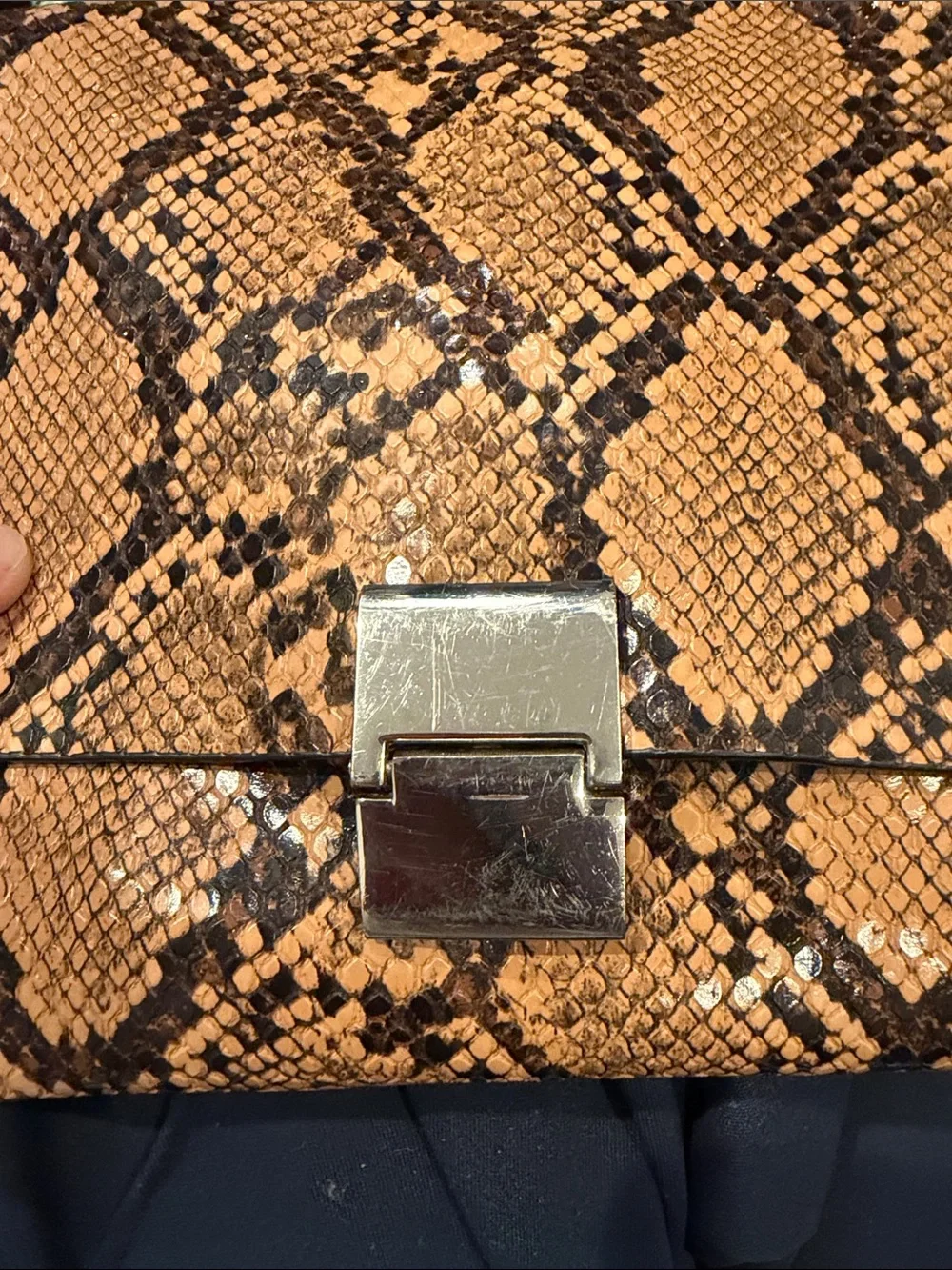Zara Tan and Black Snake-Print Crossbody Bag with Chain Strap